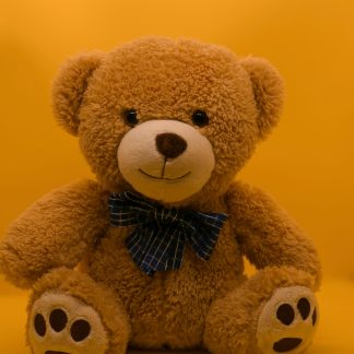 Preloved Teddy Bear – Ready for a New Hug